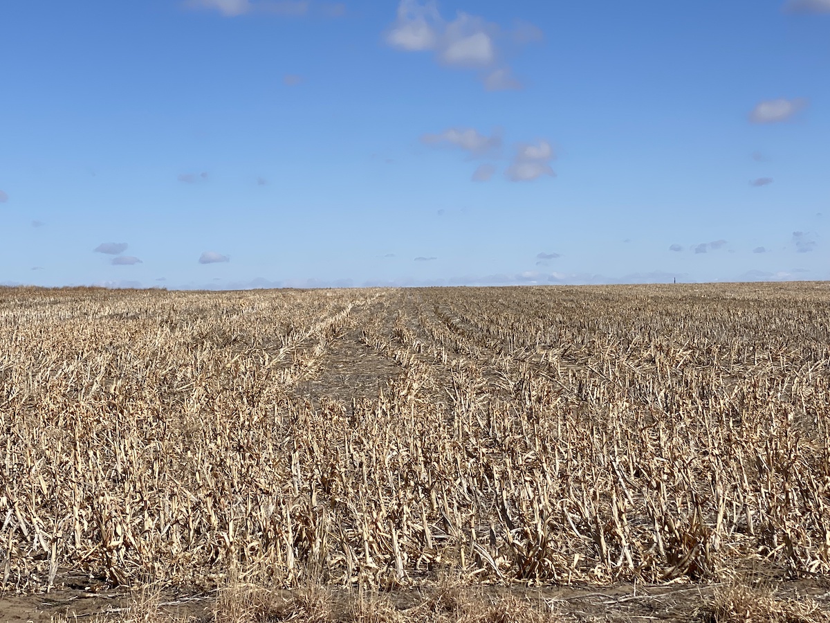 320 Acres (2 TRACTS) Pawnee County Dryland Carr Auction & Real Estate