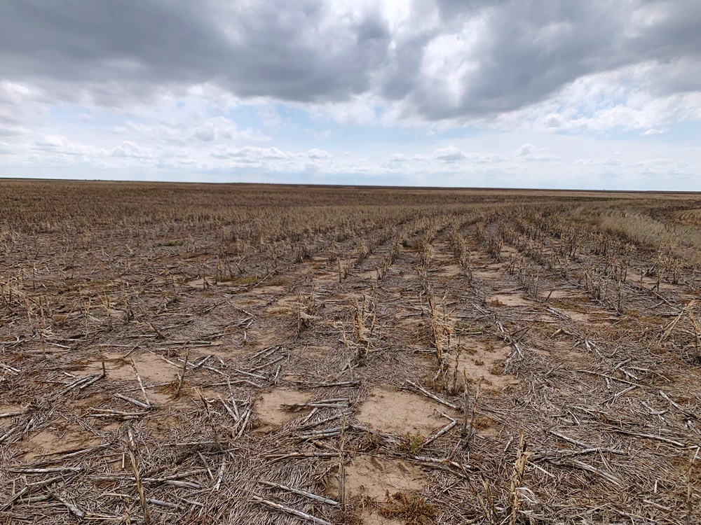 320 Acres +/ LANE COUNTY LAND Carr Auction & Real Estate