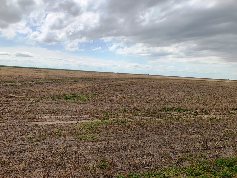 320 Acres +/ LANE COUNTY LAND Carr Auction & Real Estate