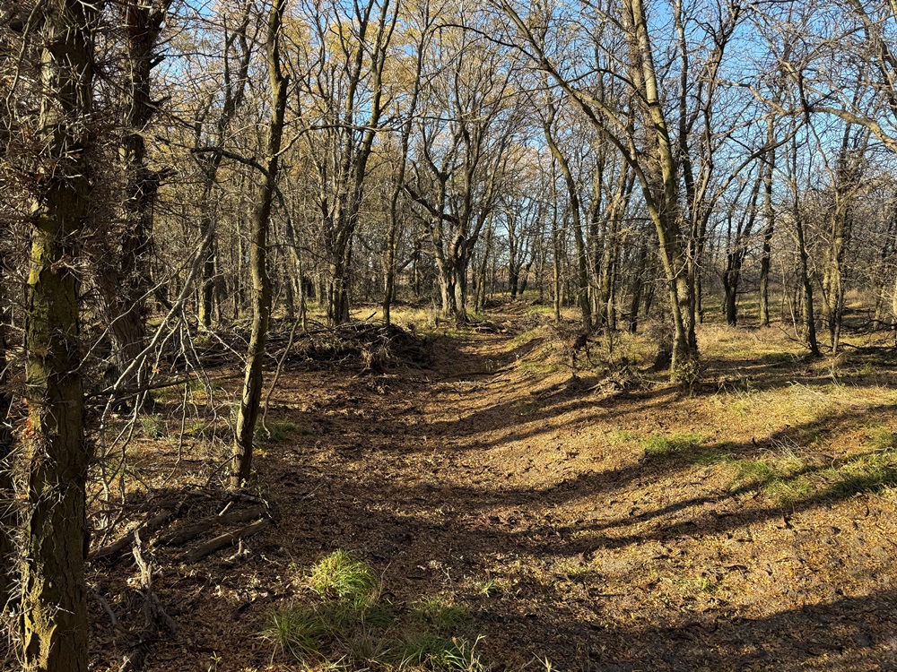 Edwards County Land Ploger 240 Carr Auction & Real Estate