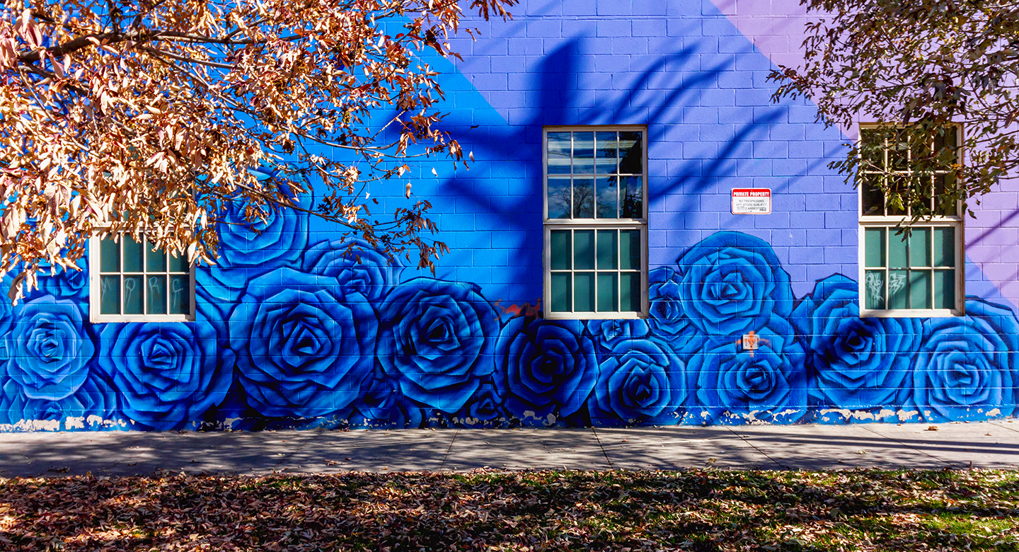 The Ultimate Denver Mural Guide Denver Murals Carrie Colbert