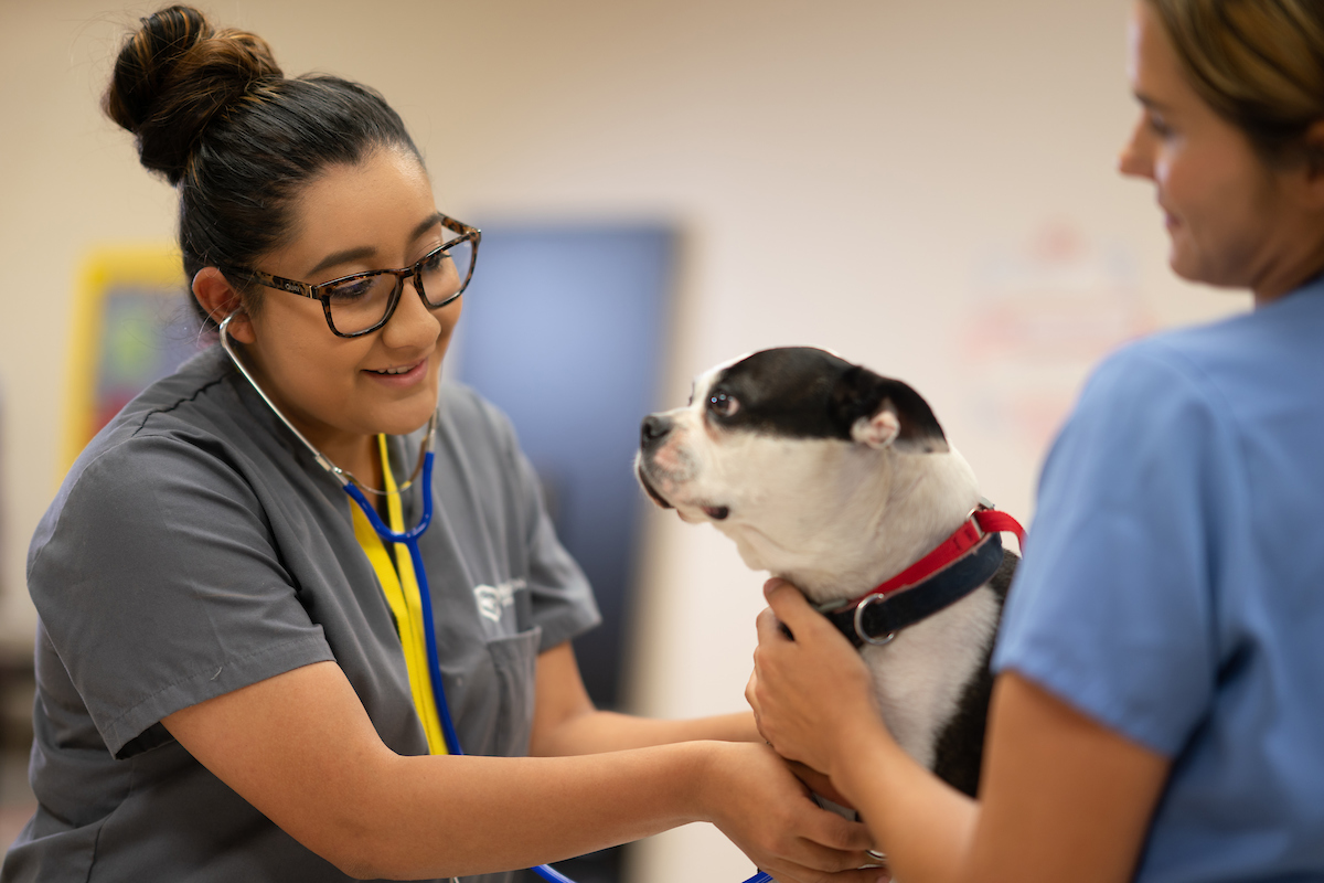 Tucson, Arizona Campus Carrington College