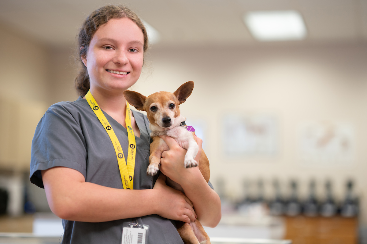 San Jose, California Campus Carrington College