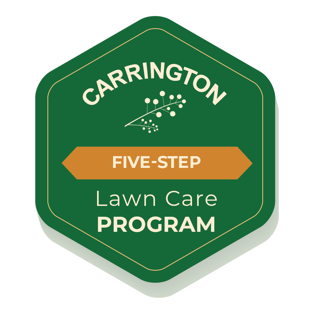 Lawn Care Programs Carrington Lawn & Landscape