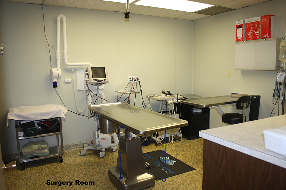 Take a Tour of our Westminster, Maryland Veterinary Hospital