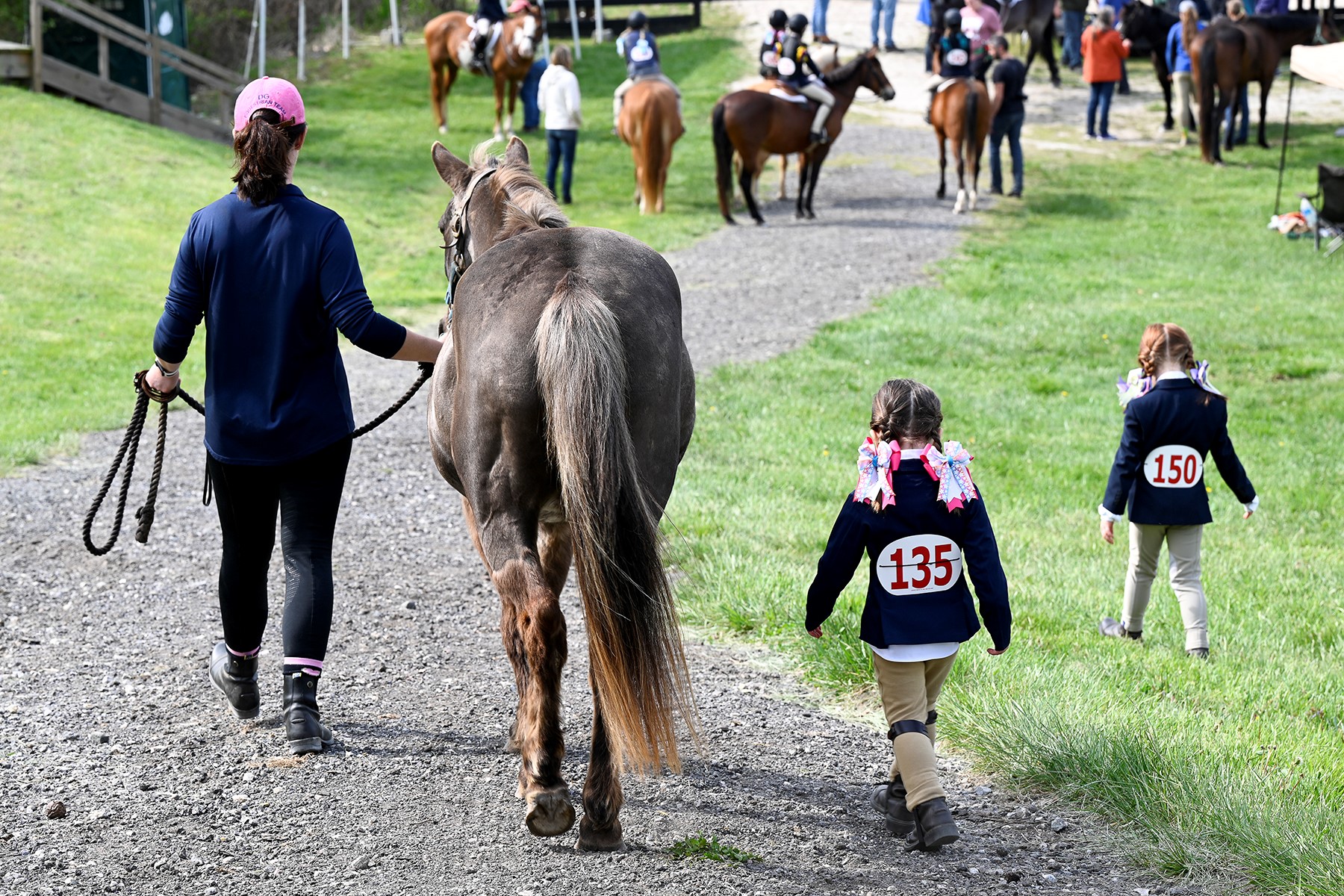 MHIB Grants Awarded To 2 Carroll Farms Carroll County Grown