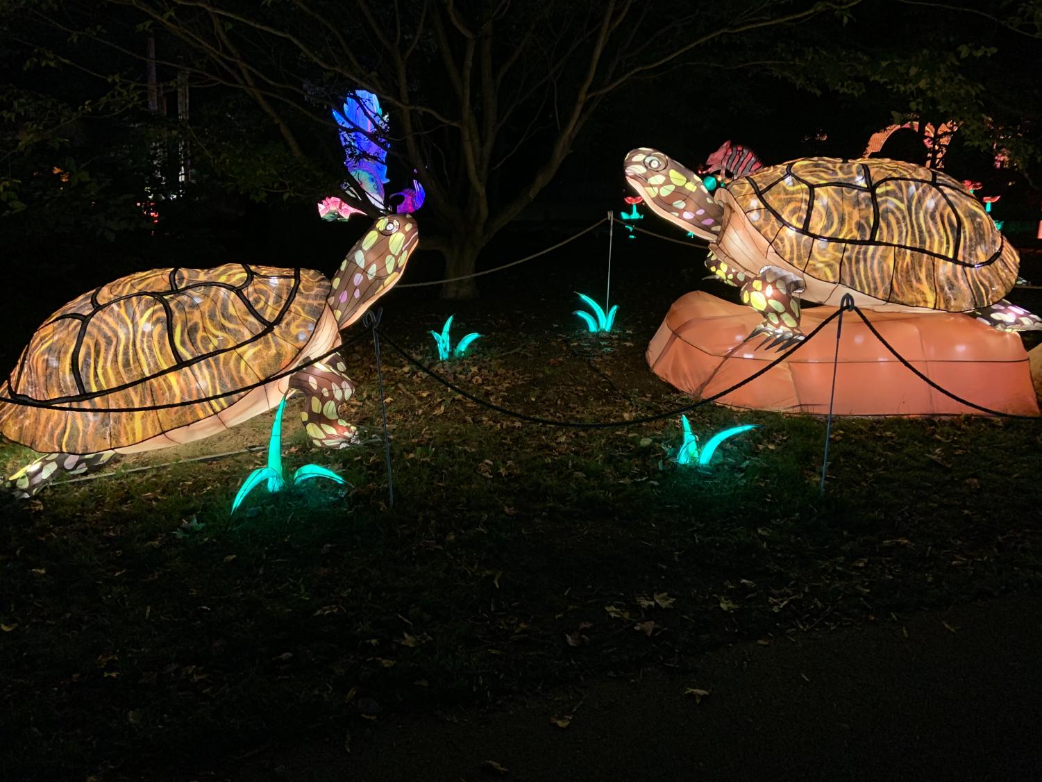 Asian Lantern Festival at the zoo The Carroll News