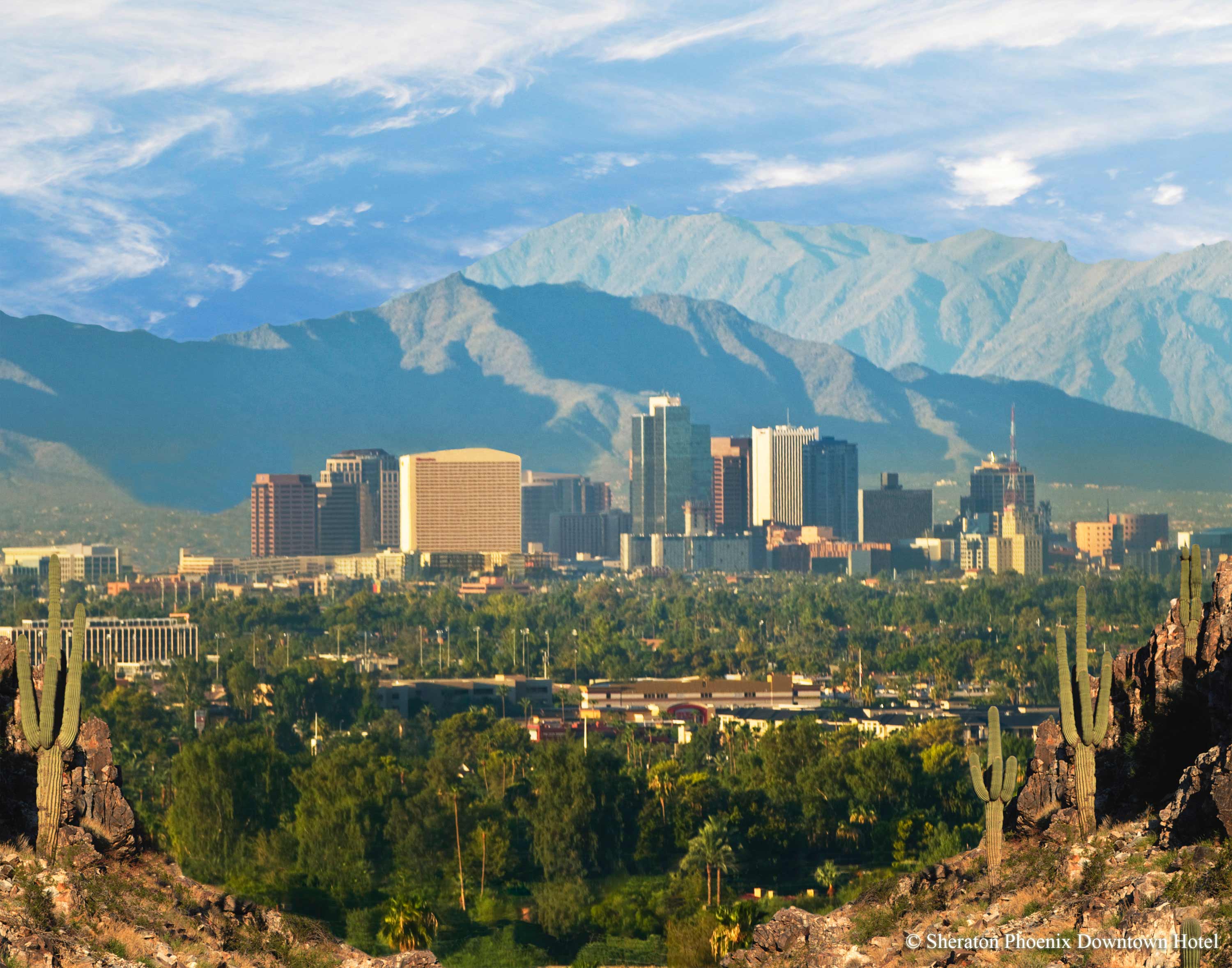 Arizona Mexican Drug Cartels Drug Lords Files Exposé * HSBC Holdings
