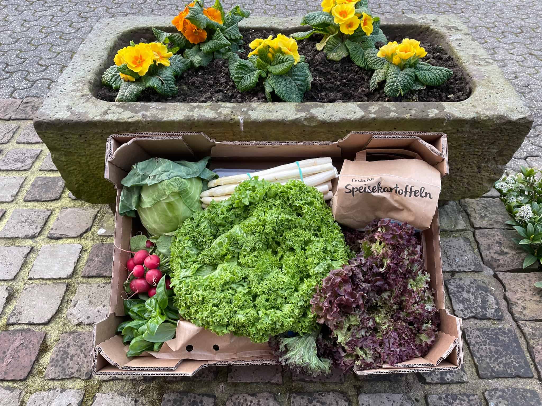 Regionale Spargelerntekiste im April Carrot GmbH