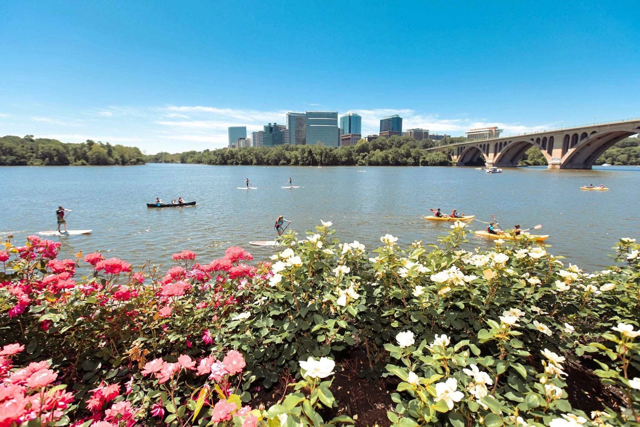 Working in Rosslyn? Here's a Guide on the Best Spots to Eat and Explore