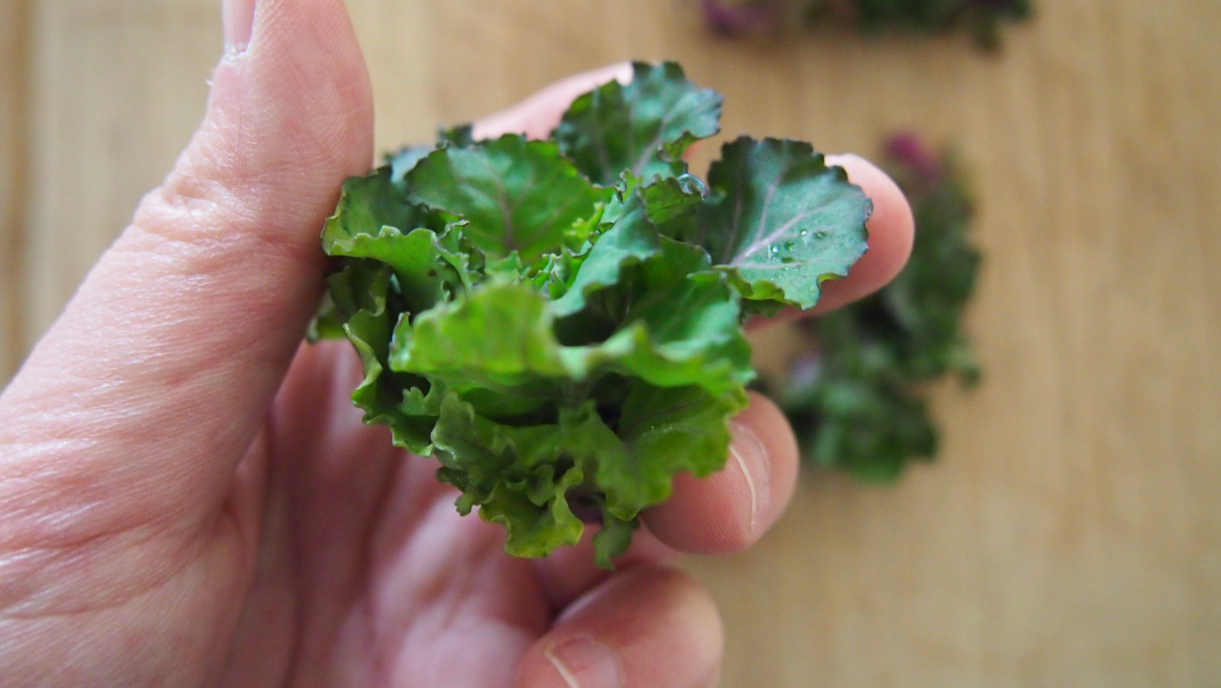 The New Super Vegetable Flower Sprout CARRY IT LIKE HARRY