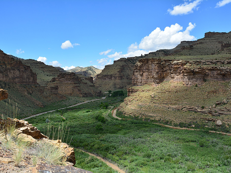 Petroglyphs Gallery of Nine Mile Canyon