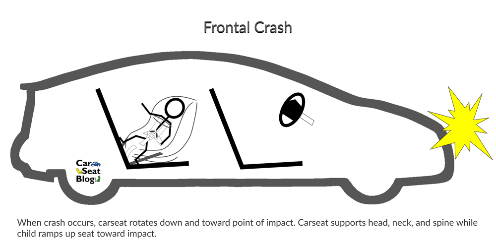 Car Seat Laws Ohio Rear Facing Review Home Decor