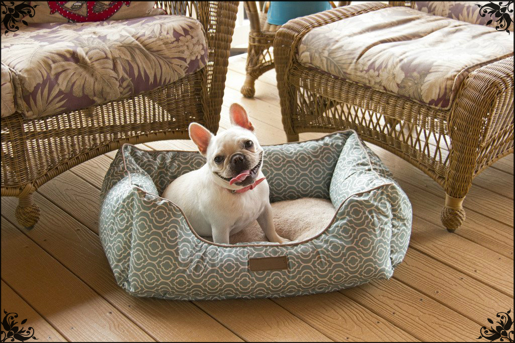 Best Dog Car Seat For Your Best Friend