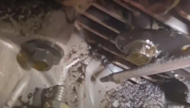 Kohler Command Engine Oil Leaking Problems: Causes and Solutions