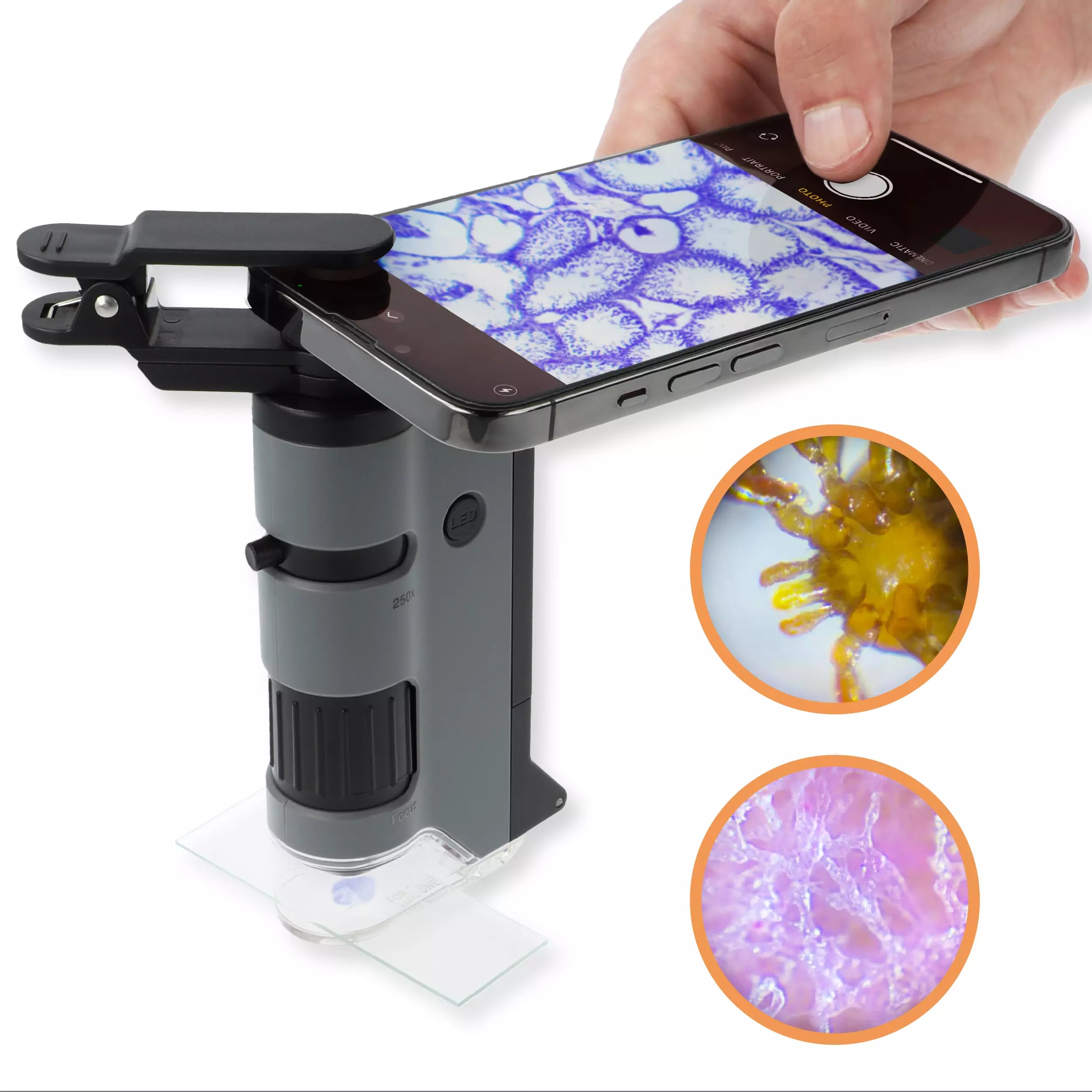 MicroFlip™ 100x250x LED UV Pocket Microscope with Smartphone Clip