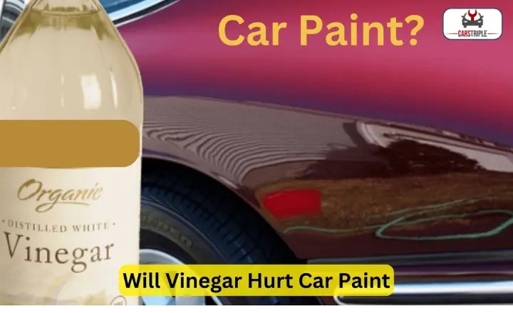 Can You Use Vinegar On Car Paint? | Perfect Guide - Cars triple