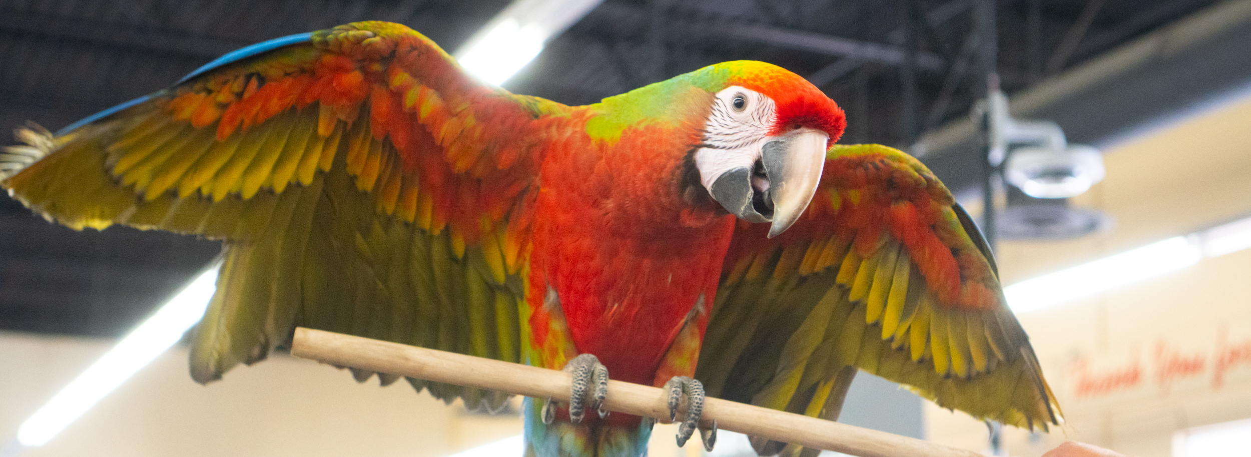 Carter's Pet Mart Pet Supplies In Stockton, Manteca, Modesto, and Lodi