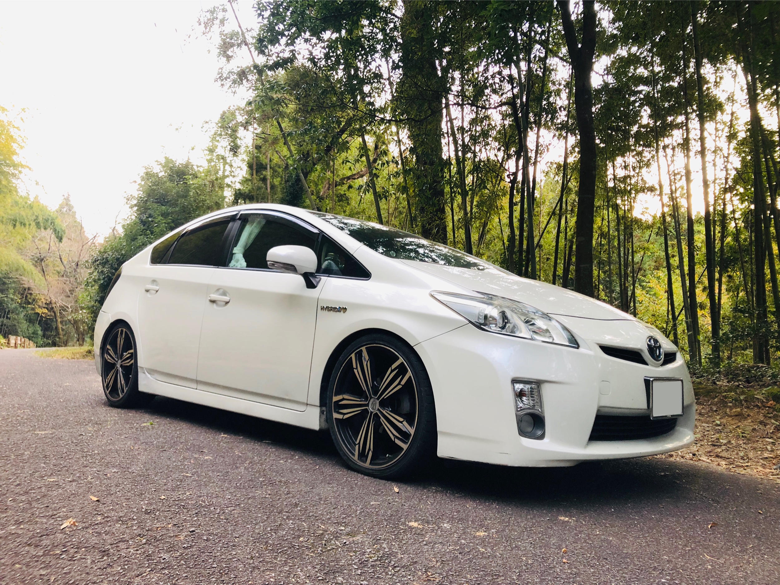 プリウス 30系のローダウンに関するカスタム・ドレスアップ情報[1,215件]｜車のカスタム情報はCARTUNE (2ページ目)