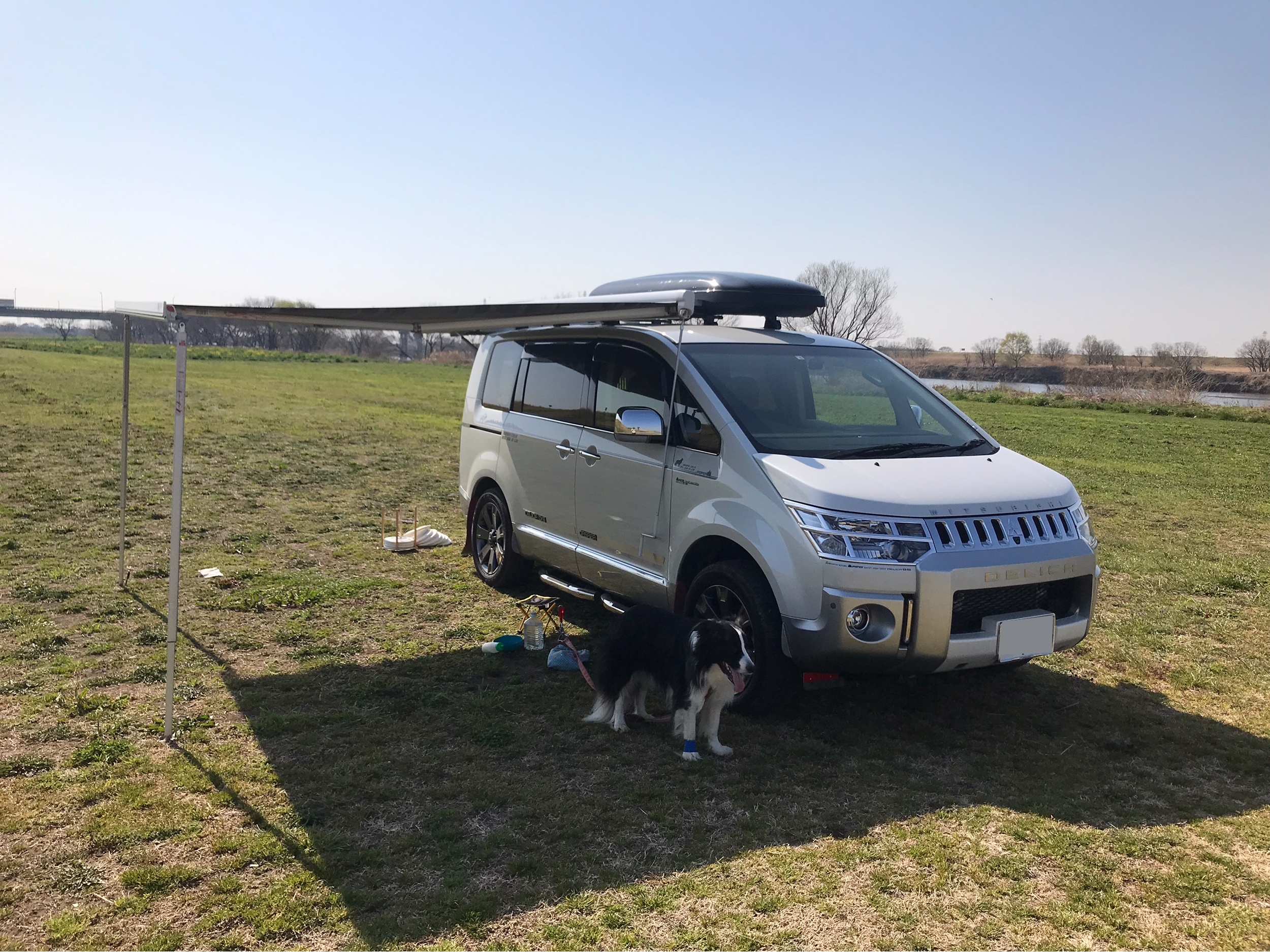 三菱 デリカD5を華麗にカスタム！by じゃみちん (2019/03/20) 今日は子供達が学校に行ってから、息抜きフィールド（笑）😆犬