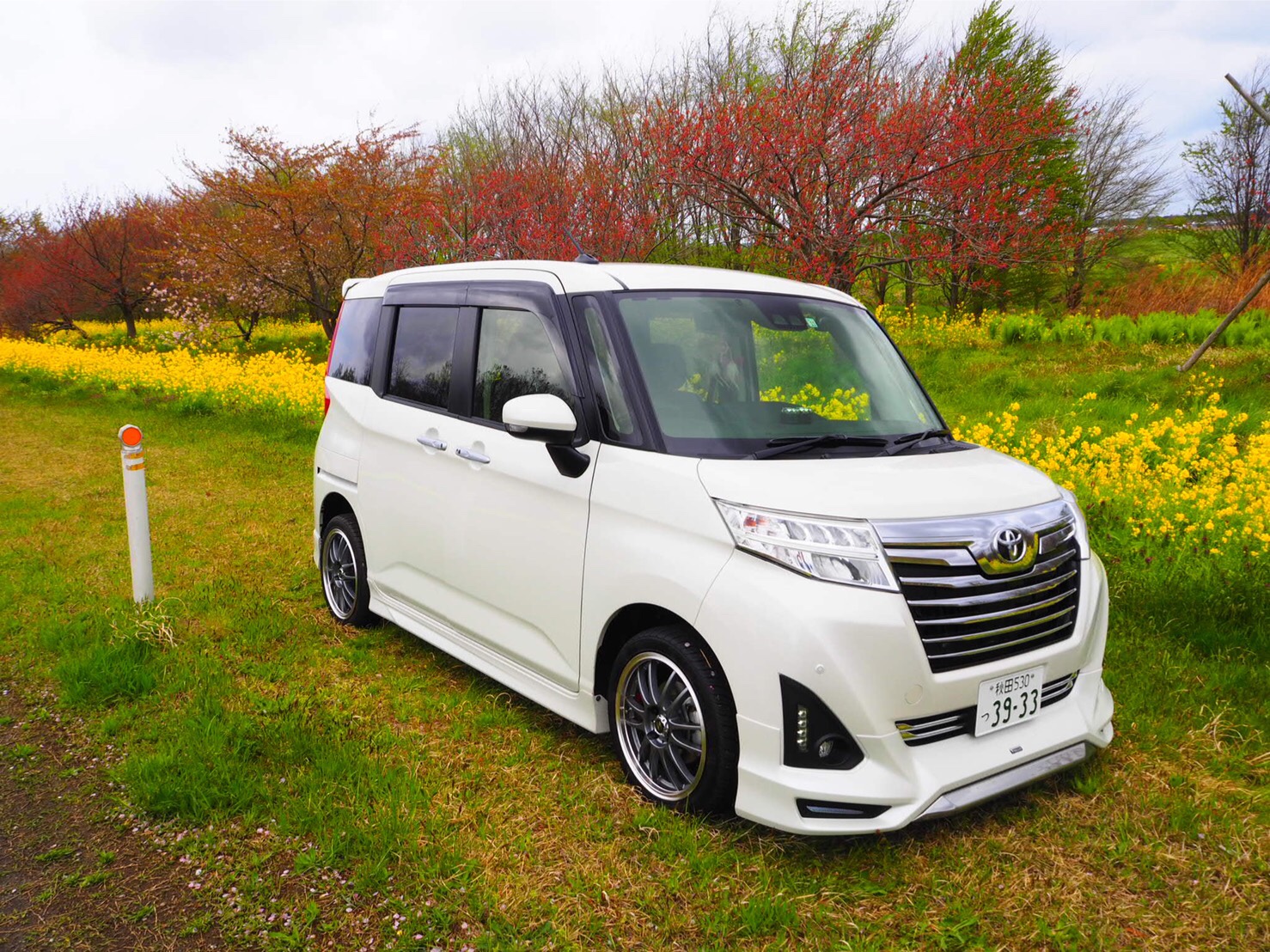 トヨタ ルーミーカスタムを華麗にカスタム！by きしゅー (2019/05/04) 3日に行った菜の花ロードの写真（秋田県大潟村）天気は