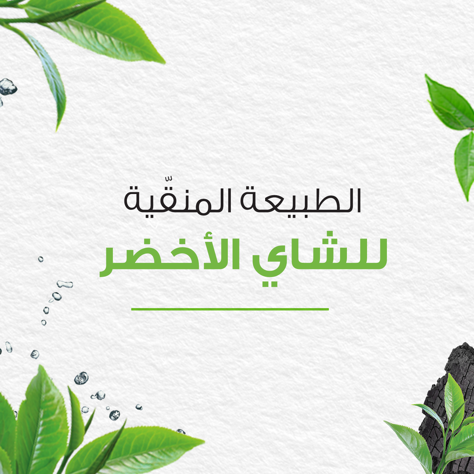 Charcoal Detoxifying Face Wash 100ml. Carty