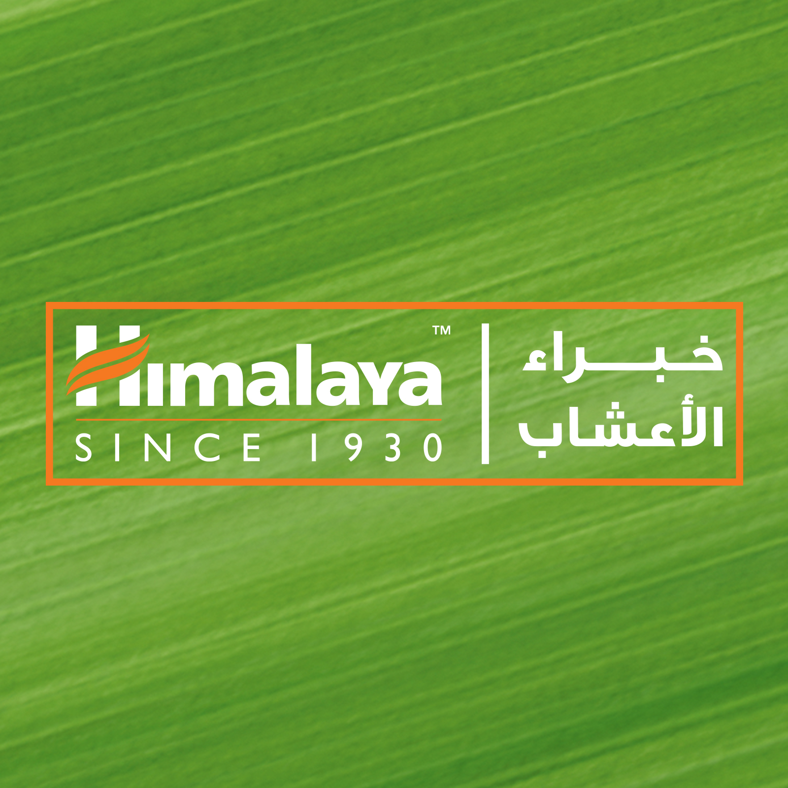 Sparkly White Herbal Toothpaste 100ml Carty