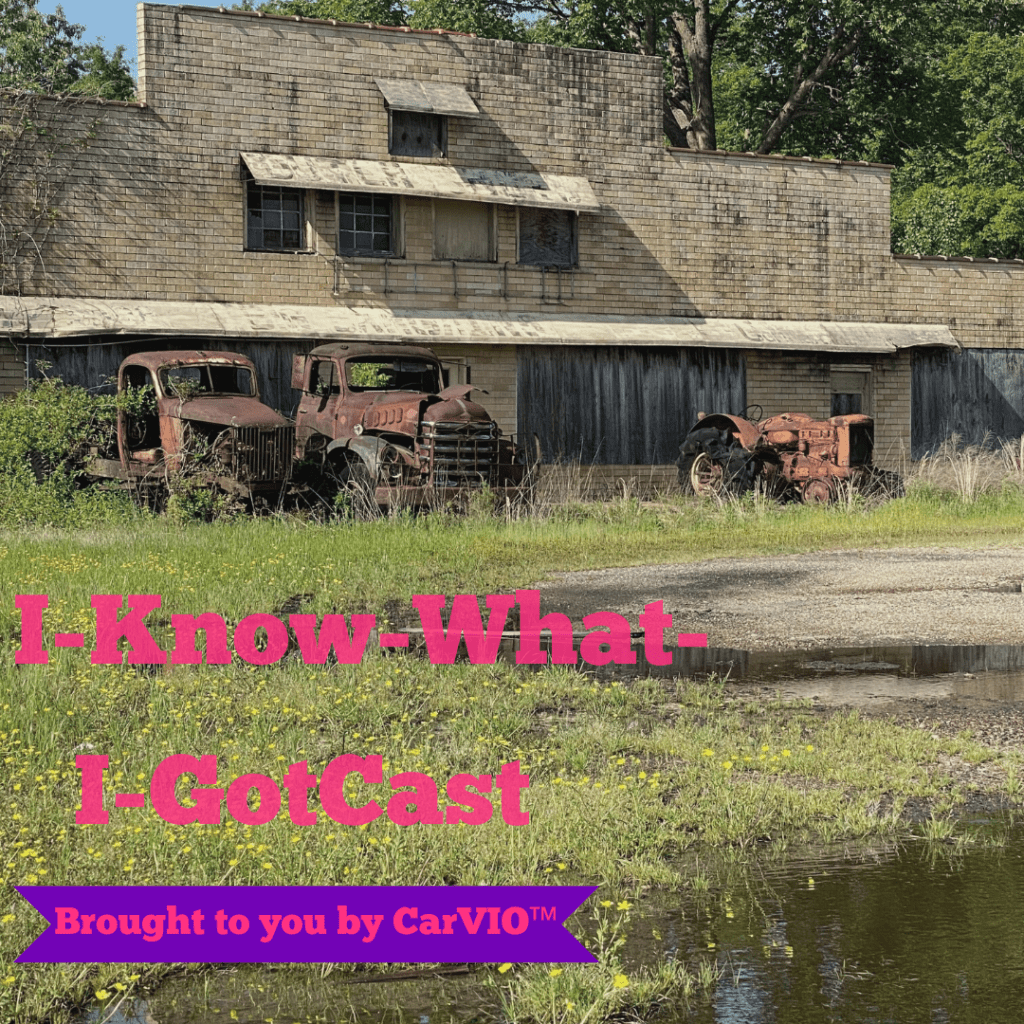 Step Inside the Exciting World of Automobiles I Know What I GotCast! Carvio