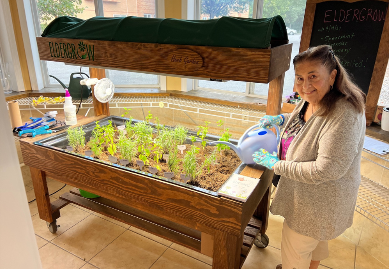 Allendale Senior Living, Eldergrow partner for indoor garden program