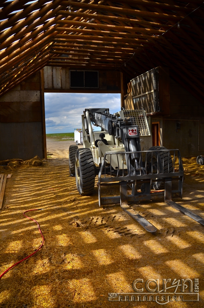 Swan Valley, Idaho Area between Idaho Falls and Jackson, Wyo Caryn