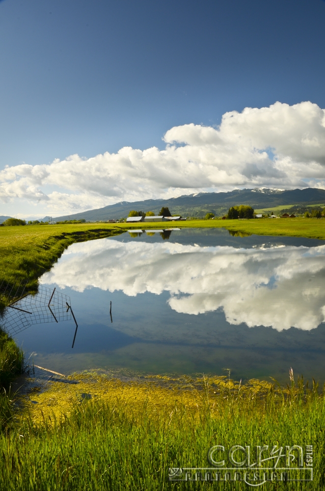 Swan Valley, Idaho Area between Idaho Falls and Jackson, Wyo Caryn
