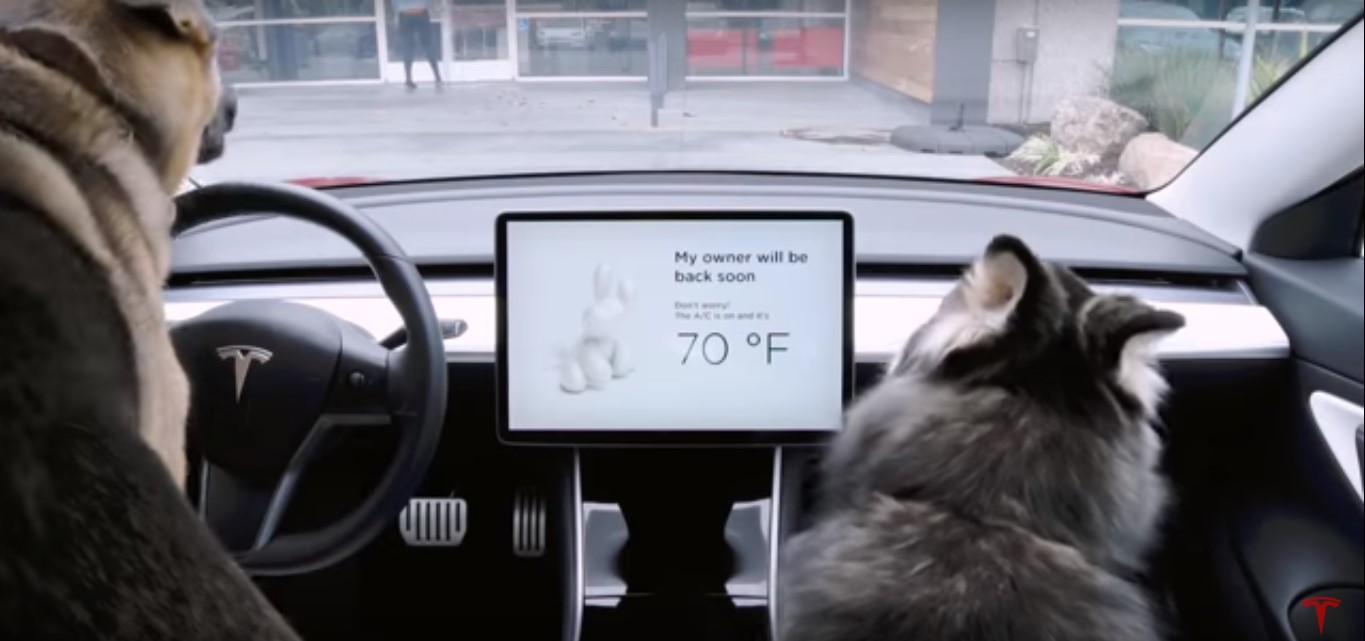 Tesla lança "Dog Mod", um sistema que protege o seu cão