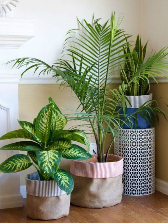 DIY 5 diferentes maneiras de fazer o seu cachepot OBSiGeN