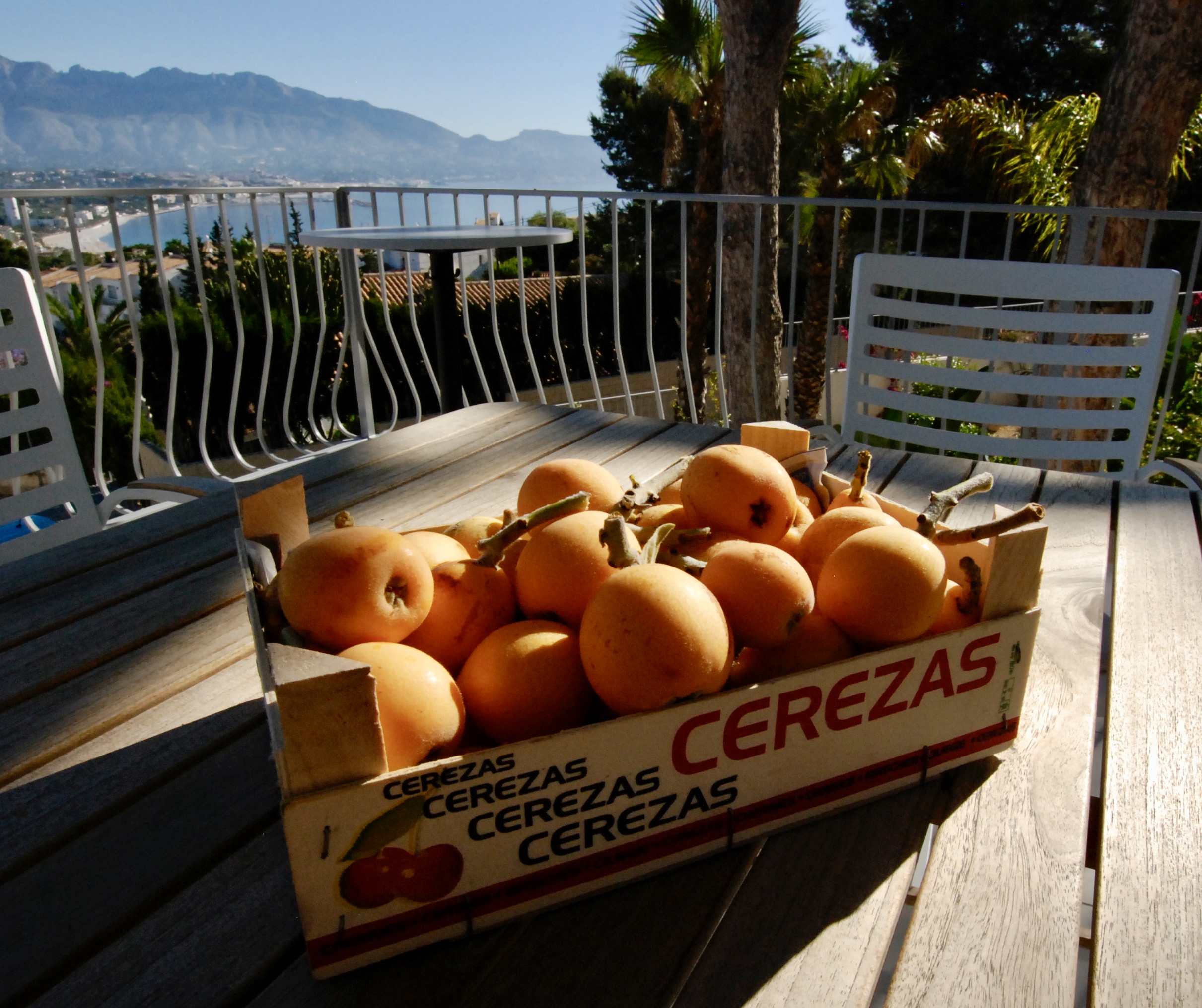 The housewarming party preparations The Spanish house