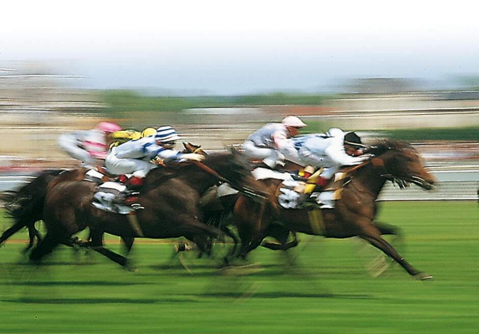 Les bases du pari hippique
