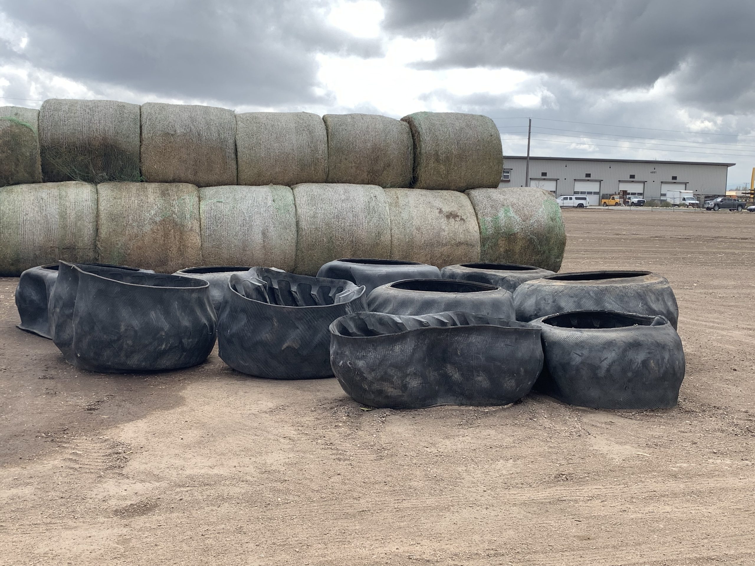 IMG_7938 Centennial Livestock Auction Co.