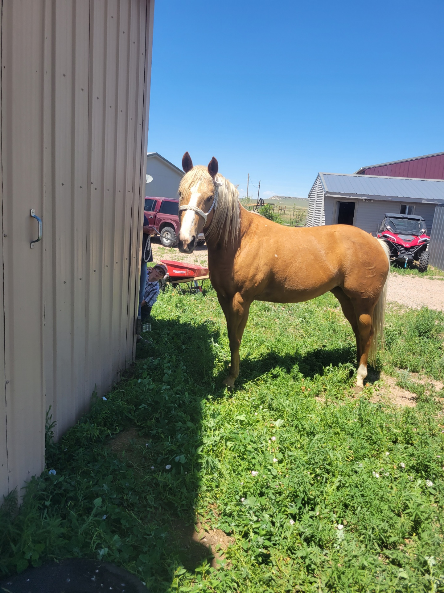 123_1 (8) Centennial Livestock Auction Co.
