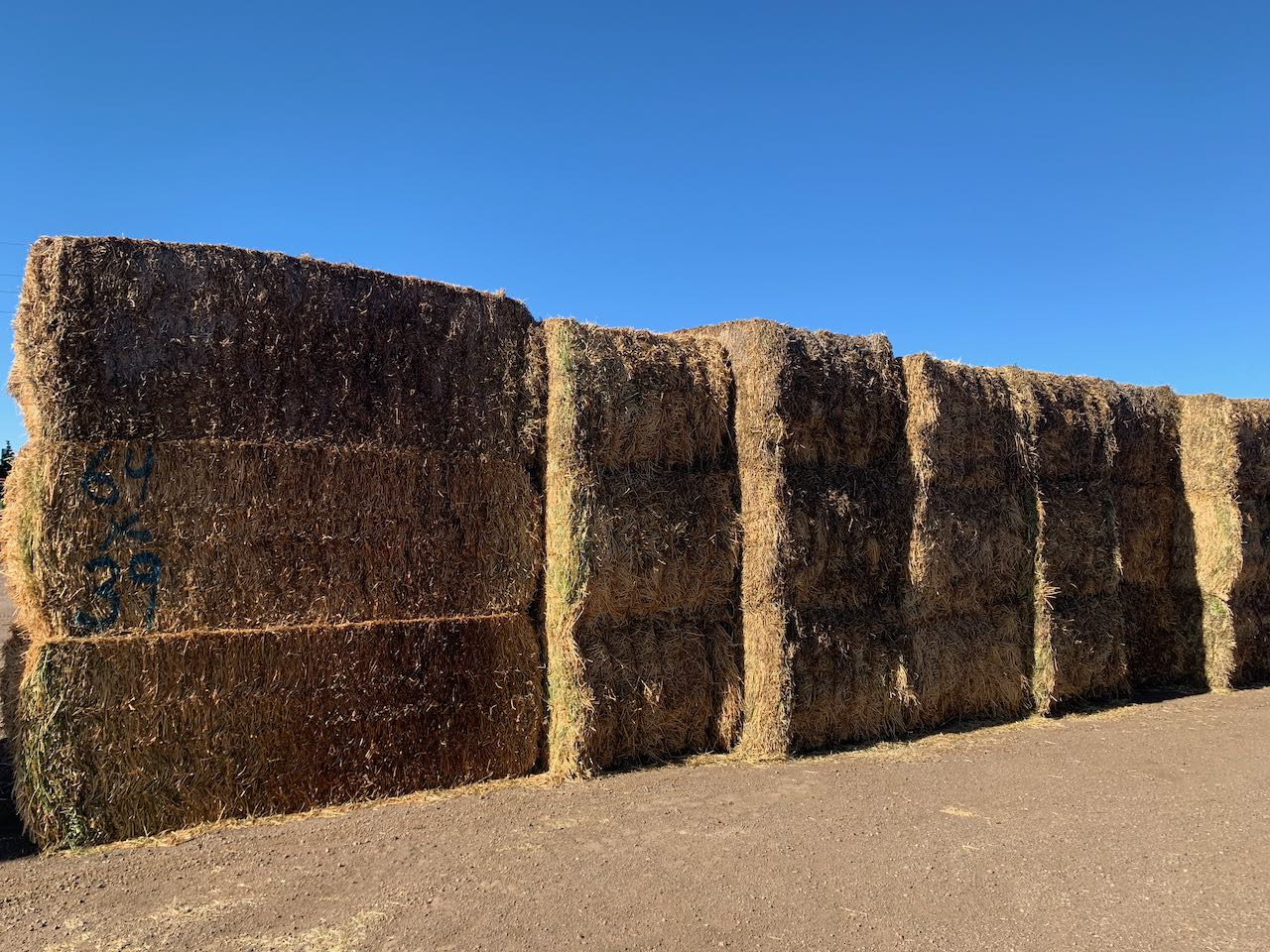 IMG_0779 Centennial Livestock Auction Co.