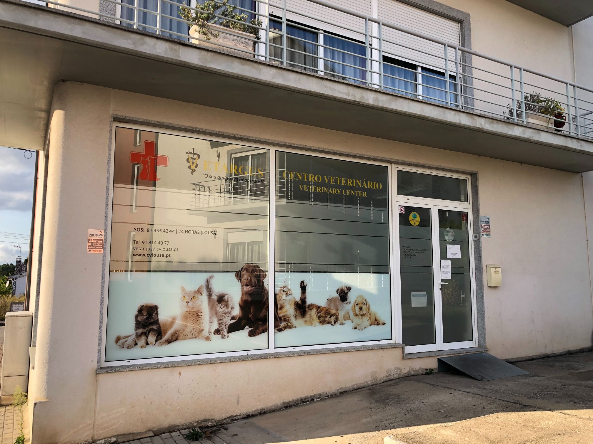 SOURCING A VET IN PORTUGAL & VET COSTS Casa Valhal