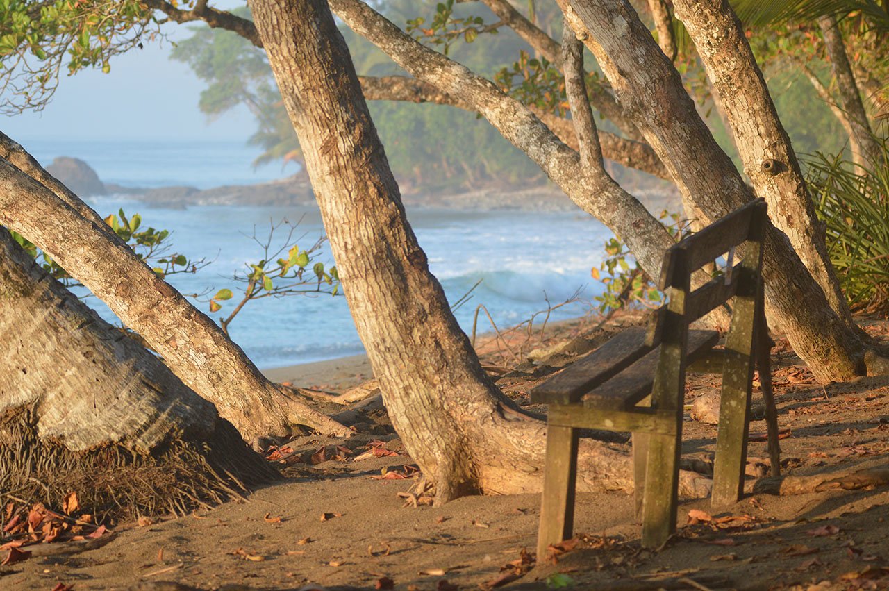 Cabo Matapalo The Perfect Place for You