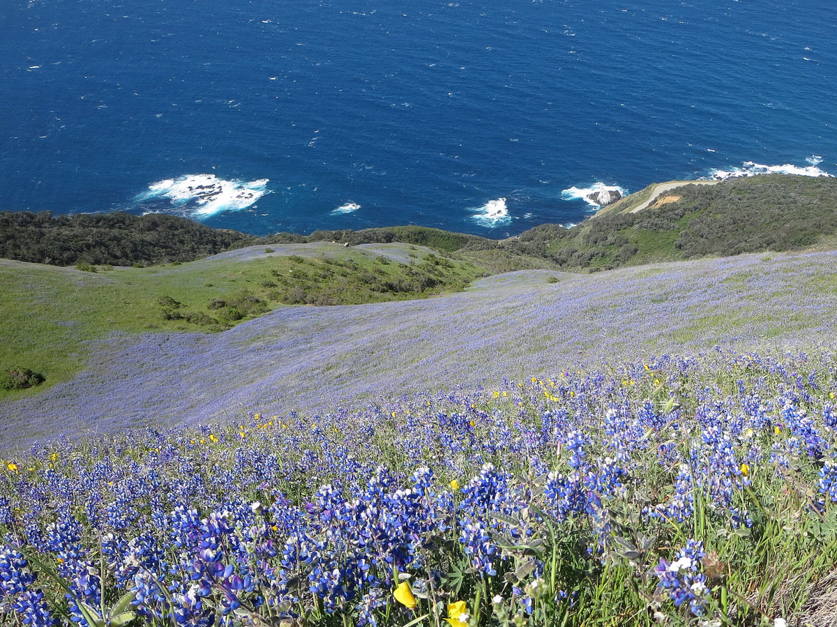 Big Sur Leor Pantilat's Adventures