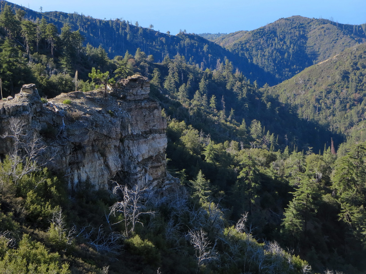 Limekiln to Big Sur via the Coast Ridge Leor Pantilat's Adventures