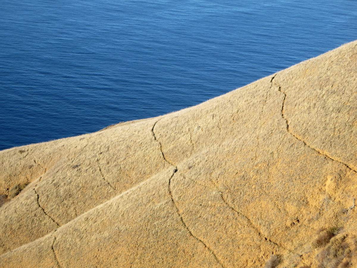 Partington Cove to McWay Falls Leor Pantilat's Adventures