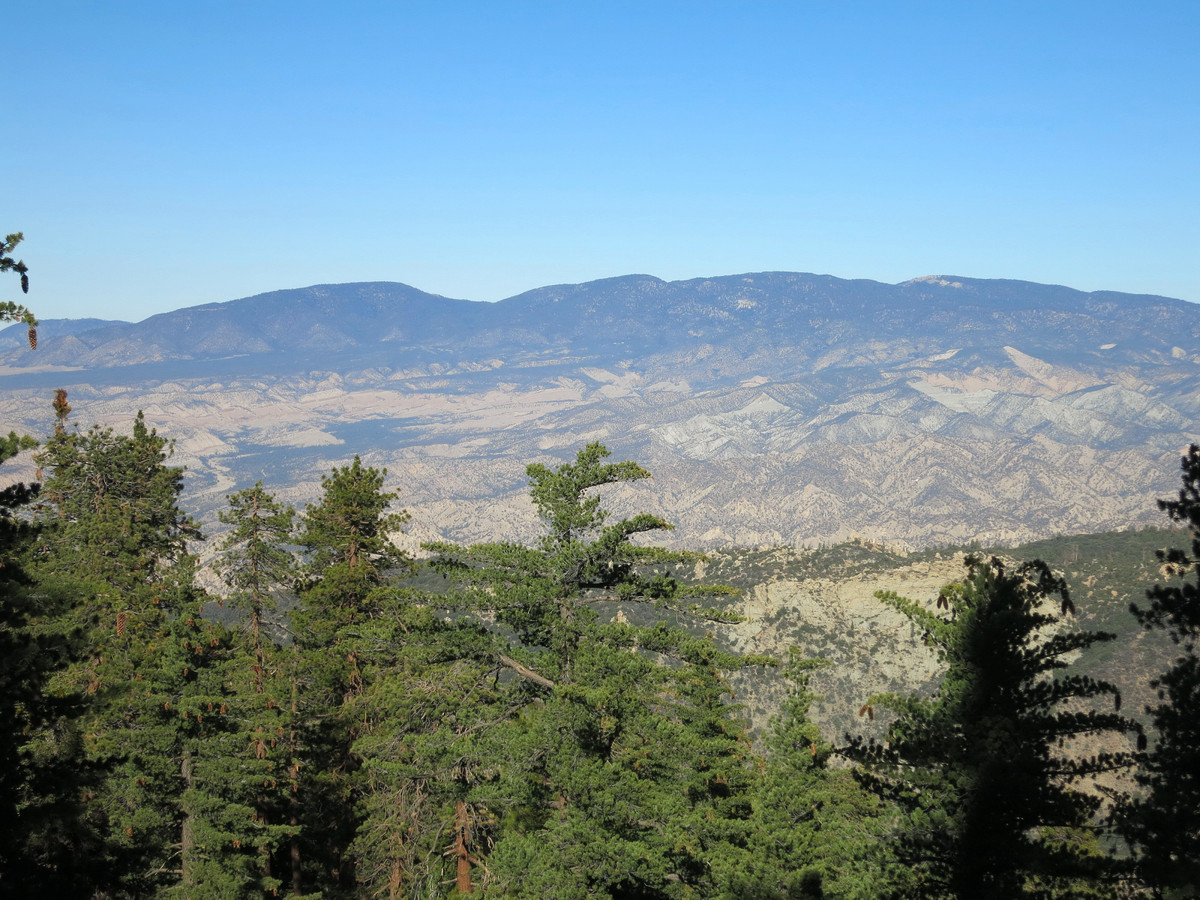 Reyes Peak & Haddock Mountain Leor Pantilat's Adventures