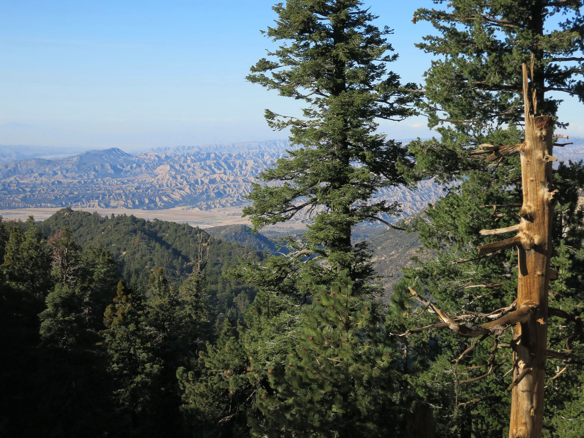 Reyes Peak & Haddock Mountain Leor Pantilat's Adventures