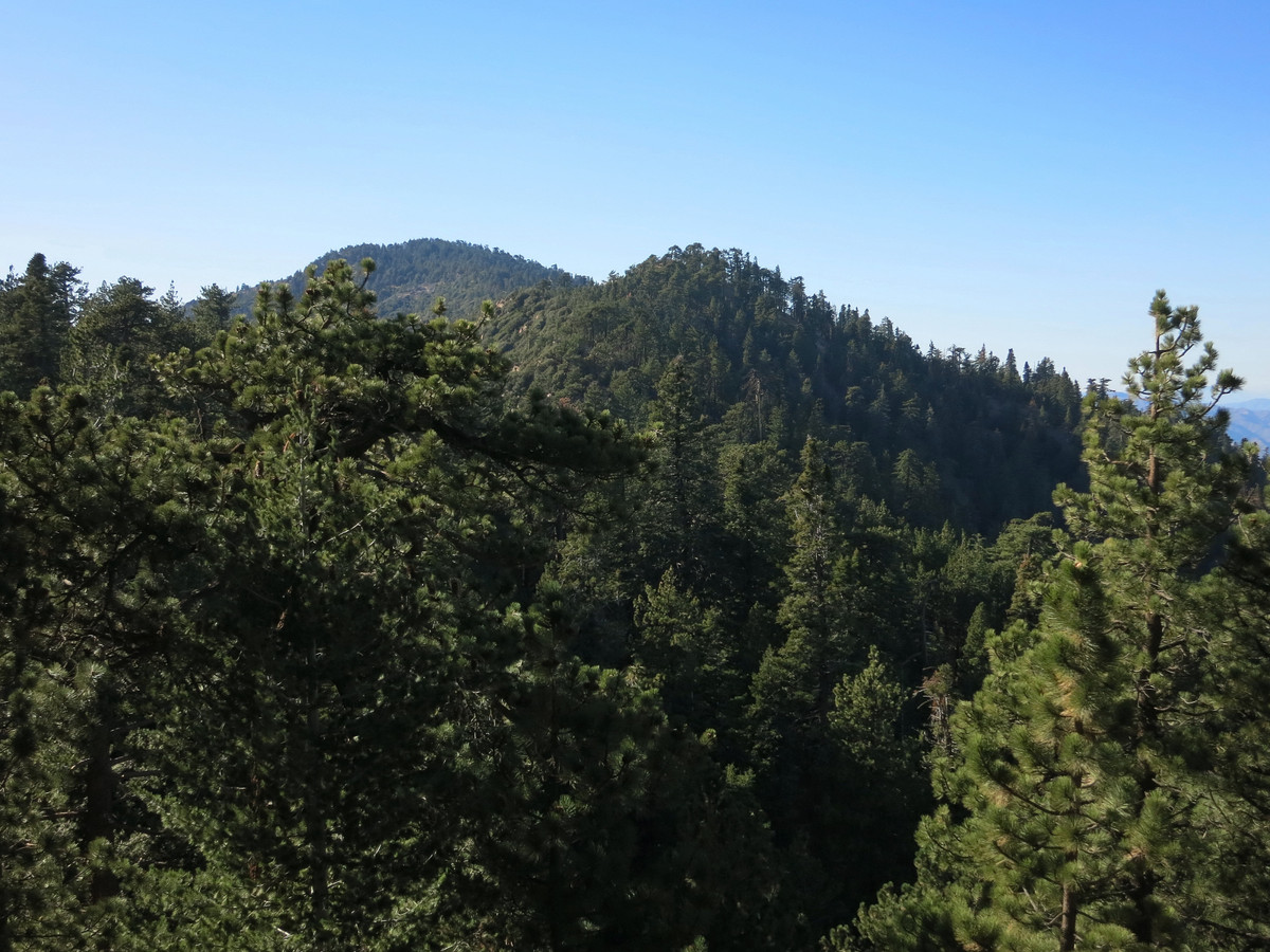 Reyes Peak & Haddock Mountain Leor Pantilat's Adventures