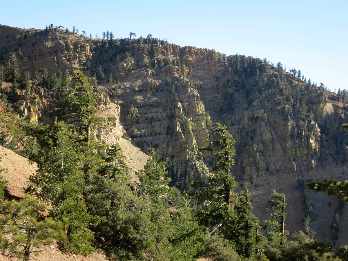 Reyes Peak & Haddock Mountain Leor Pantilat's Adventures