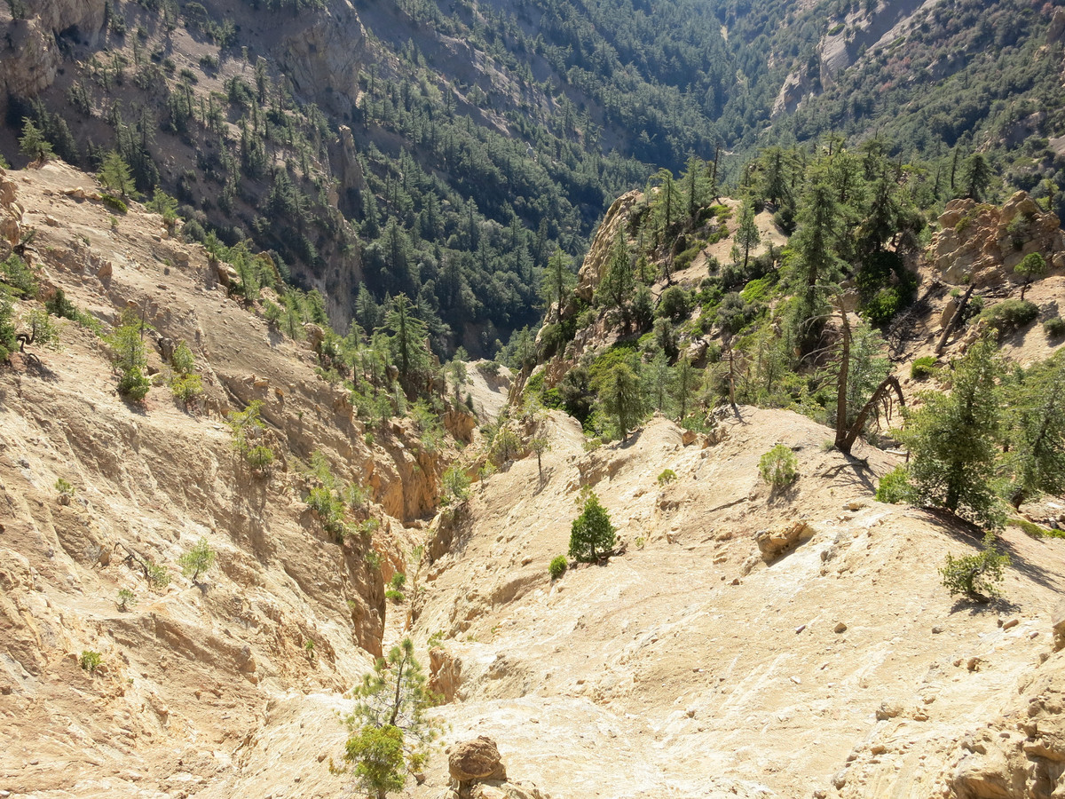 Reyes Peak & Haddock Mountain Leor Pantilat's Adventures