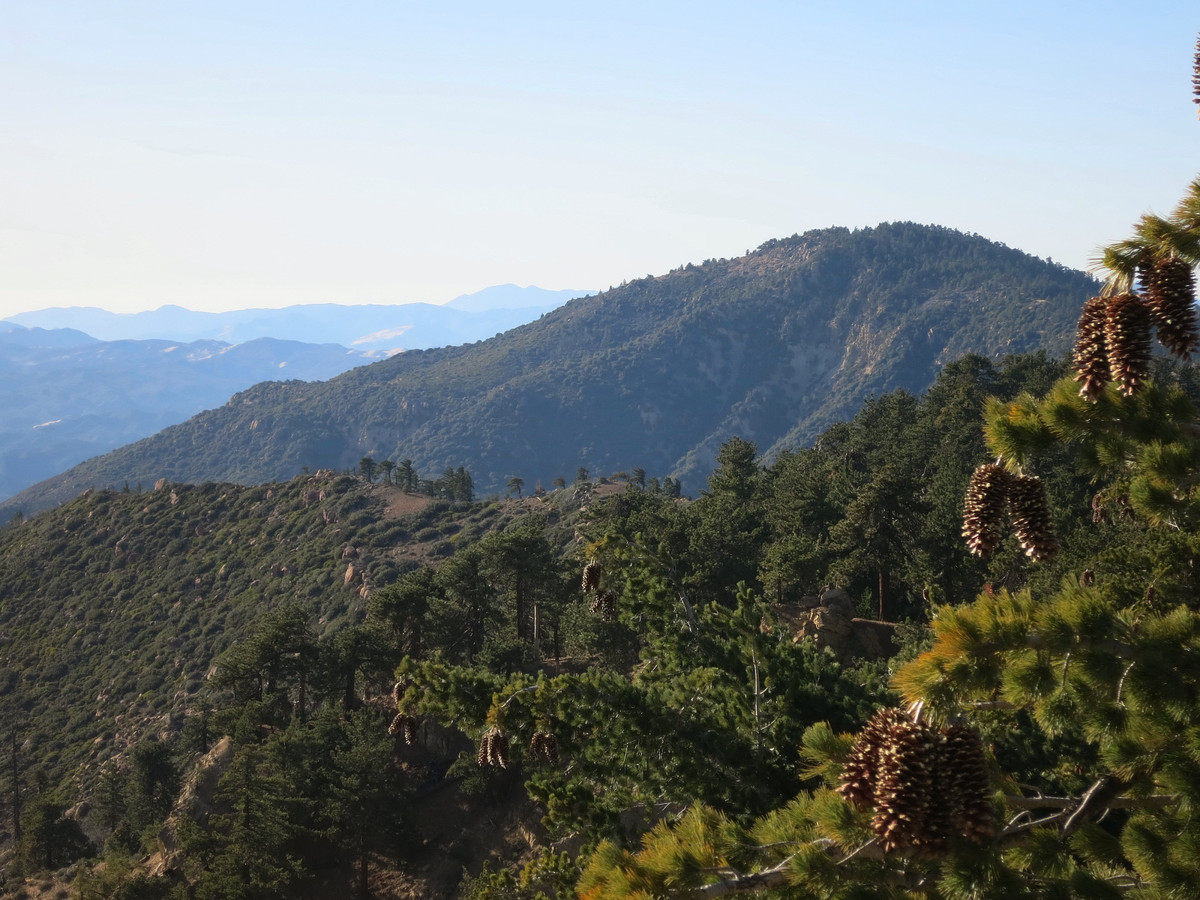 Reyes Peak & Haddock Mountain Leor Pantilat's Adventures
