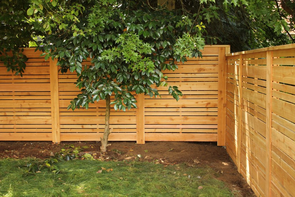 How to maintain a cedar fence